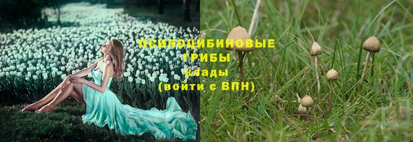 a pvp Абдулино