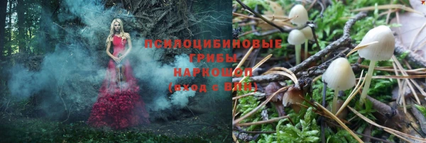 ешки Осинники