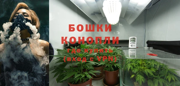 ешки Осинники