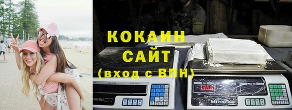 ешки Осинники
