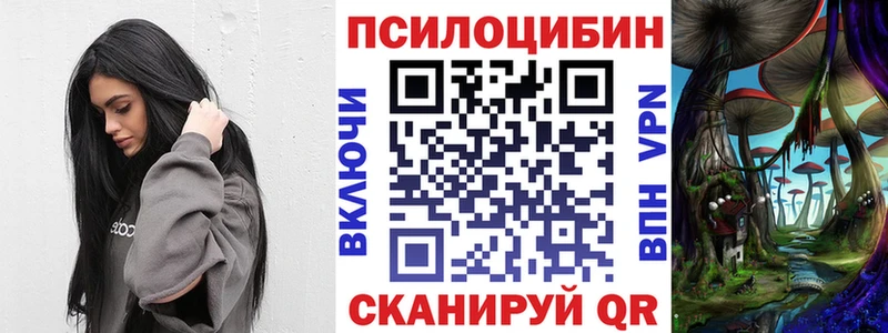 KRAKEN зеркало  Кудымкар  Галлюциногенные грибы ЛСД 